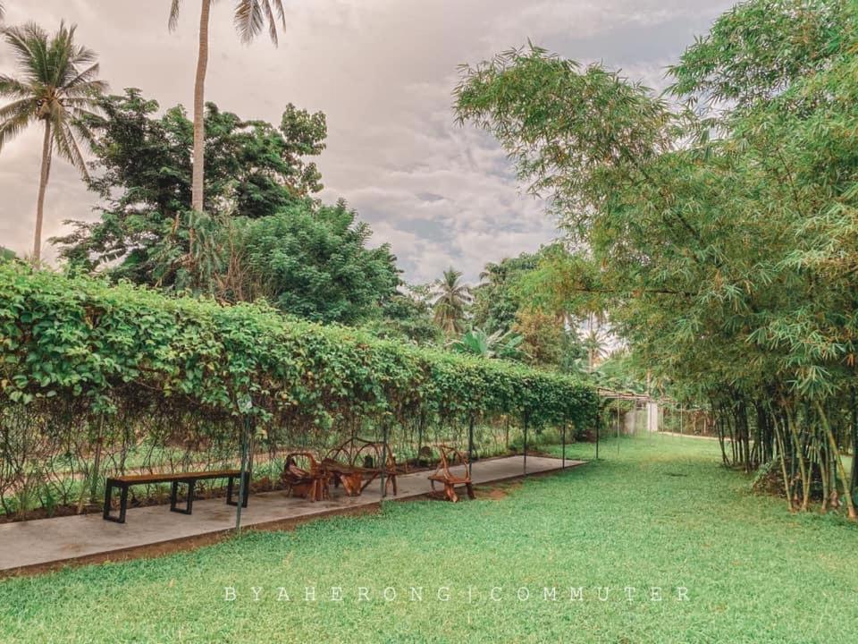 Dreamink Farm Og Myl'S Place Sorsogon المظهر الخارجي الصورة