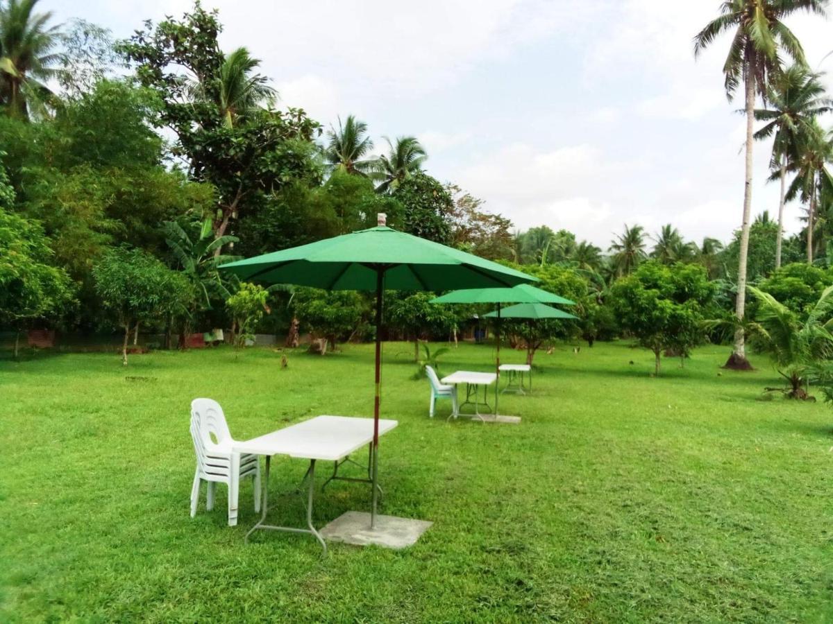 Dreamink Farm Og Myl'S Place Sorsogon المظهر الخارجي الصورة
